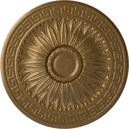Ekena Millwork Randee Ceiling Medallion (Fits Canopies up to 3 7/8"), Hand-Painted Pale Gold, 20"OD x 1 3/8"P CM20HAPAS